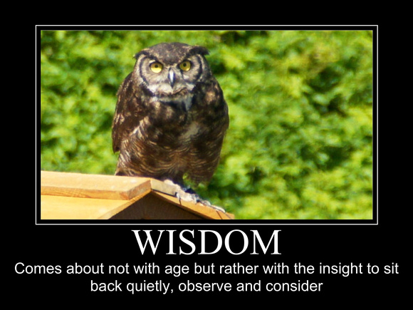 Wisdom II